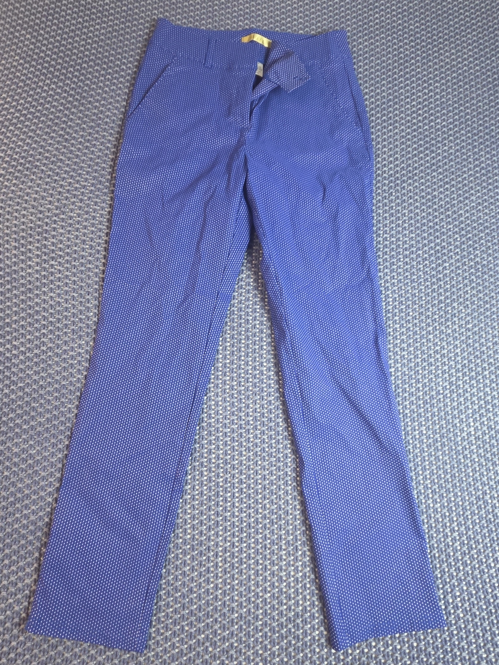 Cropped Blue Polka-Print Ankle Pants #0347